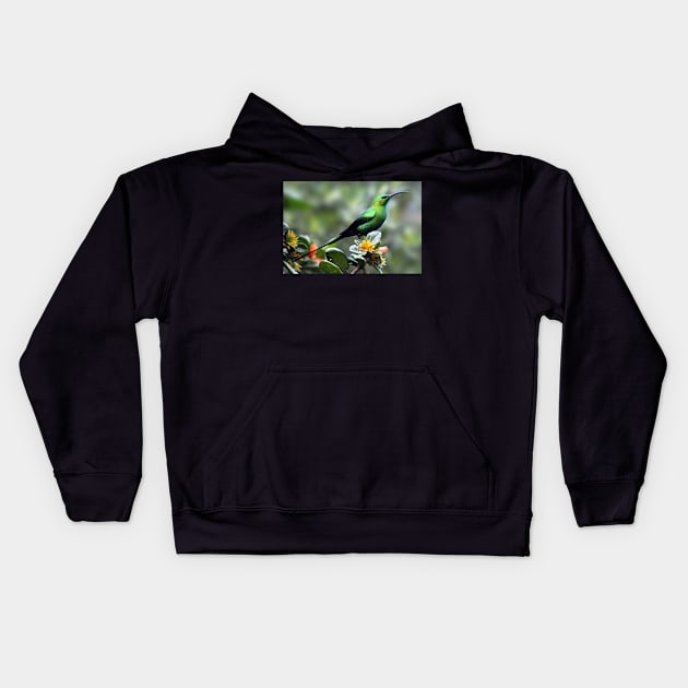 Malachite Sunbird, South Africa Kids Hoodie by scotch